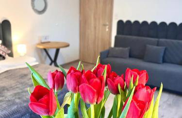 Karkonoskie Widoki Apartamenty - Foto 31