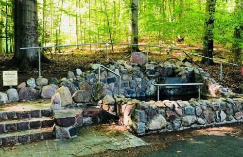 Ferienhaus am Mümmelbrook - Foto 31