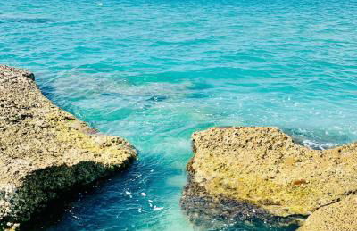 Villa Marna Bianca - Foto 51