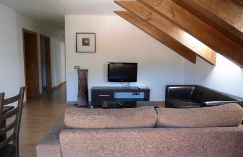 Apartamentos Puerta de Ordesa - Photo 53