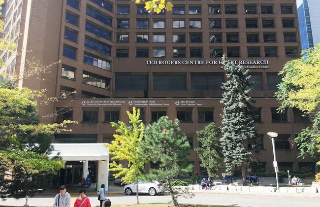 Spacious Furnished Apartment Sleeps 4, 2 Tvs, Walkout Balcony, Parking Available - Foto 23