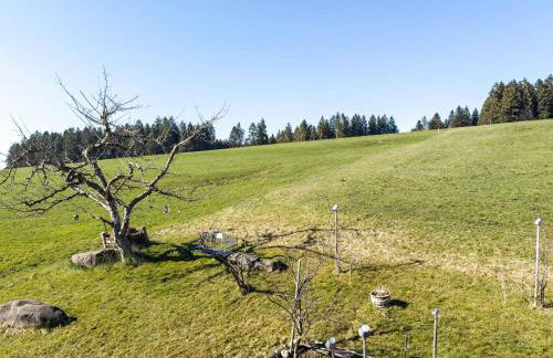 Haus Sonnenhang Wohnung 2 - Foto 24