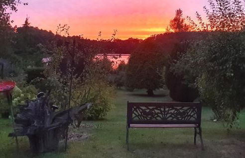 Ferienhaus Wokuhl-Dabelow - Foto 11