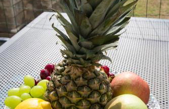 Apartment Sabioncello - Photo 31