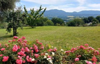 IL CASALE DEGLI ULIVI- Splendido casale panoramico con piscina a 30 min da Roma GRA - Foto 24