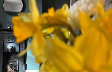 Cartref - Fully equipped and stunning town flat - Foto 20