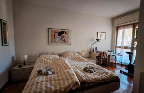 Spacious family home in Ravascletto - Foto 3