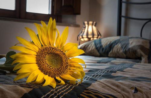 Sweet home, la casa del piccolo borgo - Foto 12