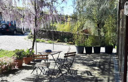 Charming House in Covelas with Shared Pool - Foto 32