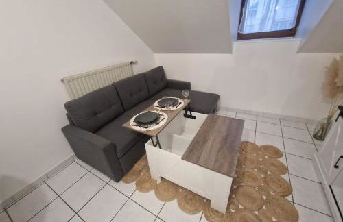 Le Belfort centre ville - Foto 12