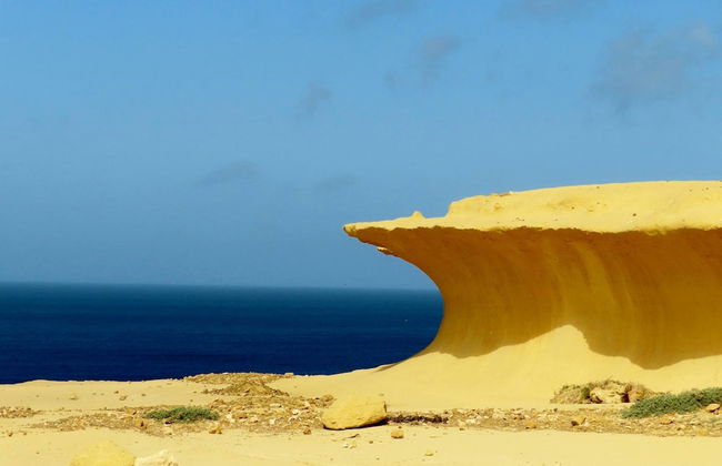 Pet Friendly Penthouse Rooftop Jacuzzi With Views - Foto 41