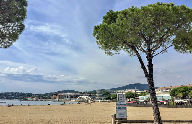 La Palmeraie II - Foto 17