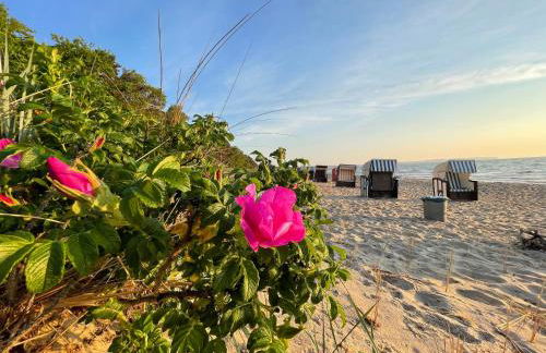 Ferienanlage in Klein Zicker Ferienwohnung 1 - Seeseite - Foto 33