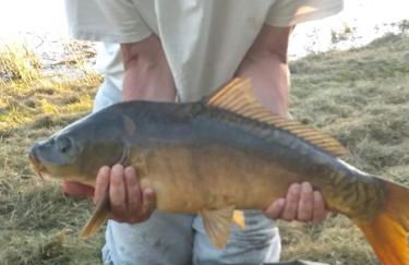 Gite de la foret - Foto 36