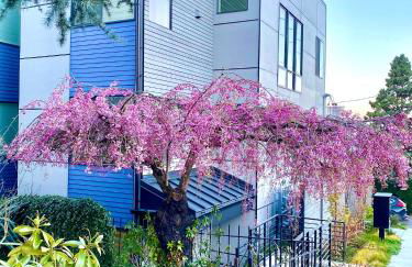 Modern Townhome with Space Needle View - Foto 34