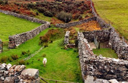 Finest Retreats - Pandy Traditional Yurt - Foto 16