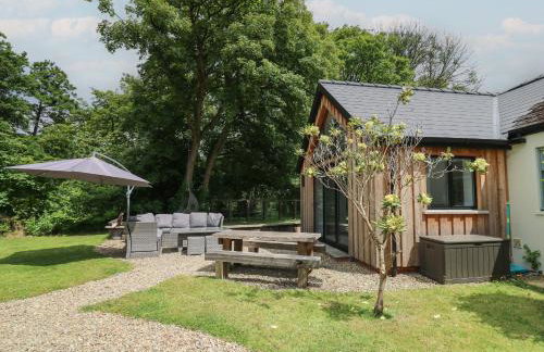 Glas y Dorlan - Foto 51