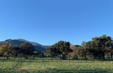 Le petit castor - Foto 38