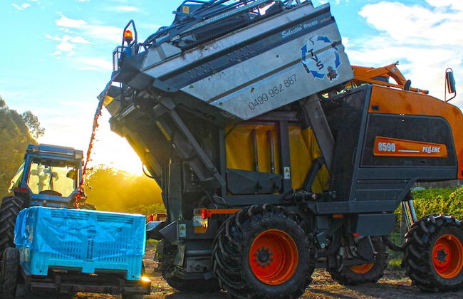 Valley Farm Vineyard Cottages - Foto 54