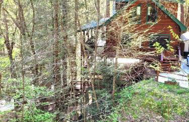 LUXURY CABIN WITH WATERVIEW AND PRIVACY, hiking - Photo 39