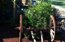 Finca-Las Mariposas 2 - Foto 57