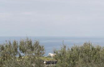 Phaos at Saint John Villas with private heated pool - Photo 100