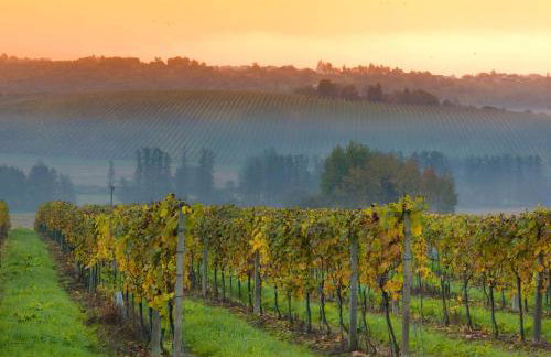 Franc Holiday House With a Spacious Terrace, Hot Tub And Sauna - Foto 51