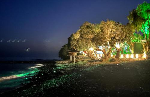 Nikkon Luxury Living - Foto 36