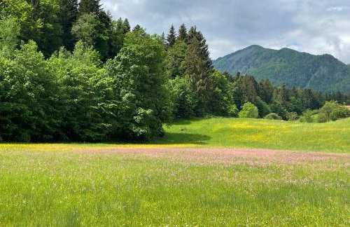 Laimgruber Hof - Naturresidenz - Foto 40