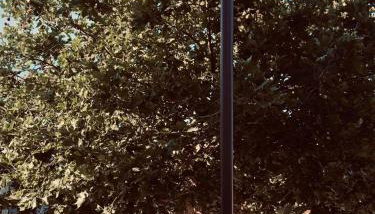 Central Apartment - Foto 3