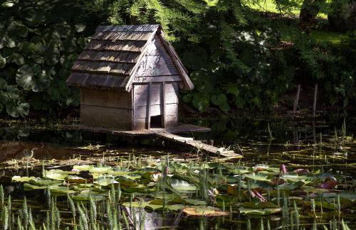 La petite vallée - Photo 40