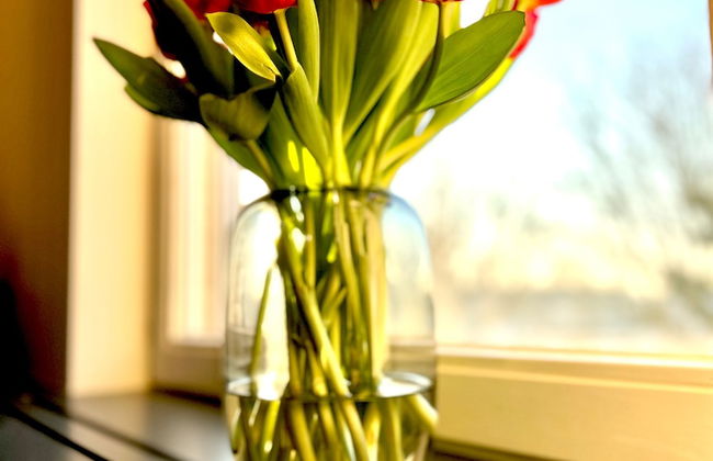 Agelandkaai.be - Photo 53