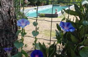 Poggio a Sieve - Foto 15