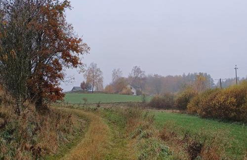 Siedlisko Dwa Żurawie - Uroczy domek nad stawem, z kominkiem, obok konie - Foto 18