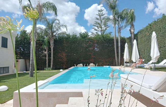 Vigne Vecchie - Foto 78