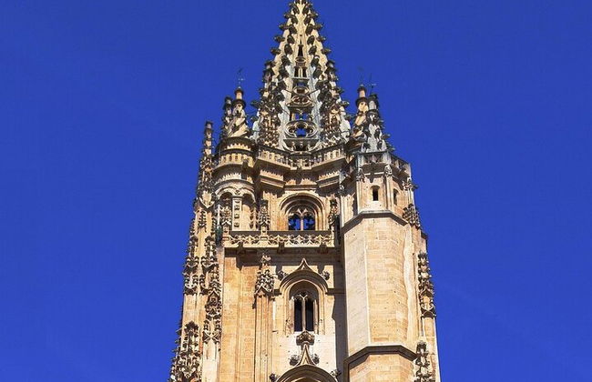 Privater geführter Rundgang durch die Altstadt von Oviedo - Foto 4