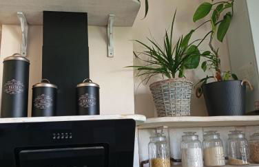 Piso Iwvaxi, gallery house. Ourense. - Foto 8