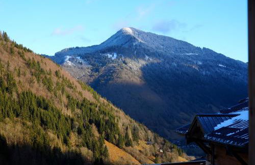 Appartement charmant au pied des pistes - Foto 21