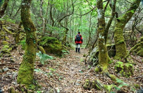 La Posada de Oscos II - Foto 25