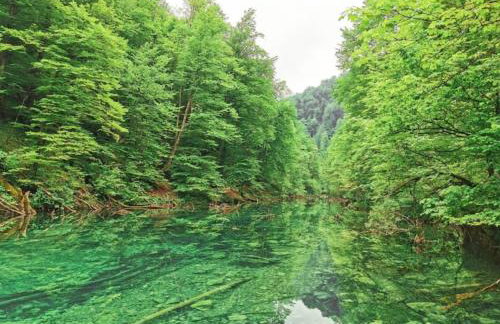 CASA MONTE - Foto 80