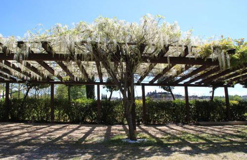 Podere la Campagnola - Foto 38