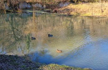 Le Moulin de l'O-L'Orle Nature formule 4 personnes - Foto 38