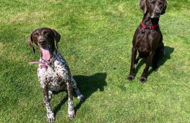 Cosy 2 BR cabin on coast private hot tub ' Driftwood ' - Photo 13