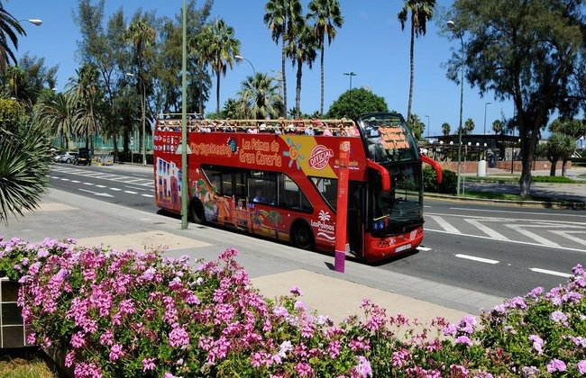 City Sightseeing Las Palmas Hop-On Hop-Off Tour - Foto 11