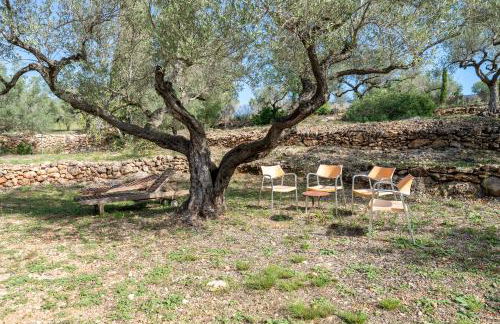 Casa Arbol - Photo 28