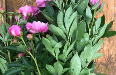 Magiczne Podlasie - Foto 33