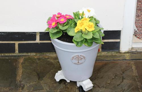 Cherry Fields - Foto 2