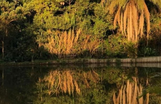 Hotel Fazenda Vale Amanhecer - Photo 61