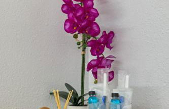 Luxurious Beachfront Condo - Foto 28