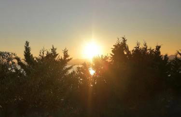 ΚΤΗΜΑ ΠΑΥΛΟΜΠΕΗ OLIVE & SEA - Foto 17